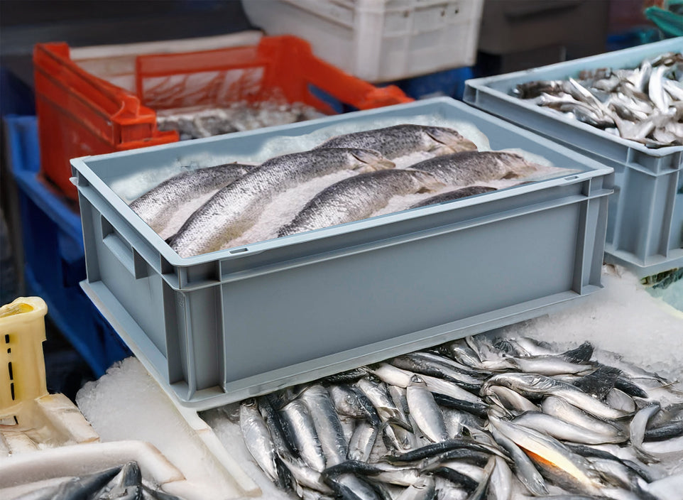 buy fish boxes MagiDeal Fishing Viewing Box Acrylic with Lid Mini Aquarium Outdoor Indoor Small Portable Safe Fish Breeder Hatching with Scale : Pet Supplies sealed portions from Bristol Bay Fresh Fish Box from Cornwall