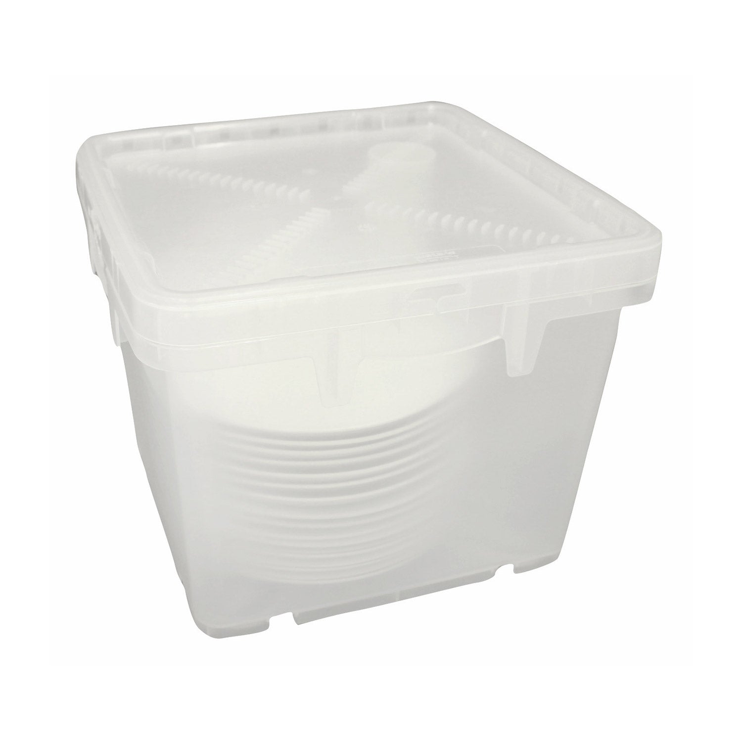 Transparent Plate Box With Lid - Plates | Storage Box Shop